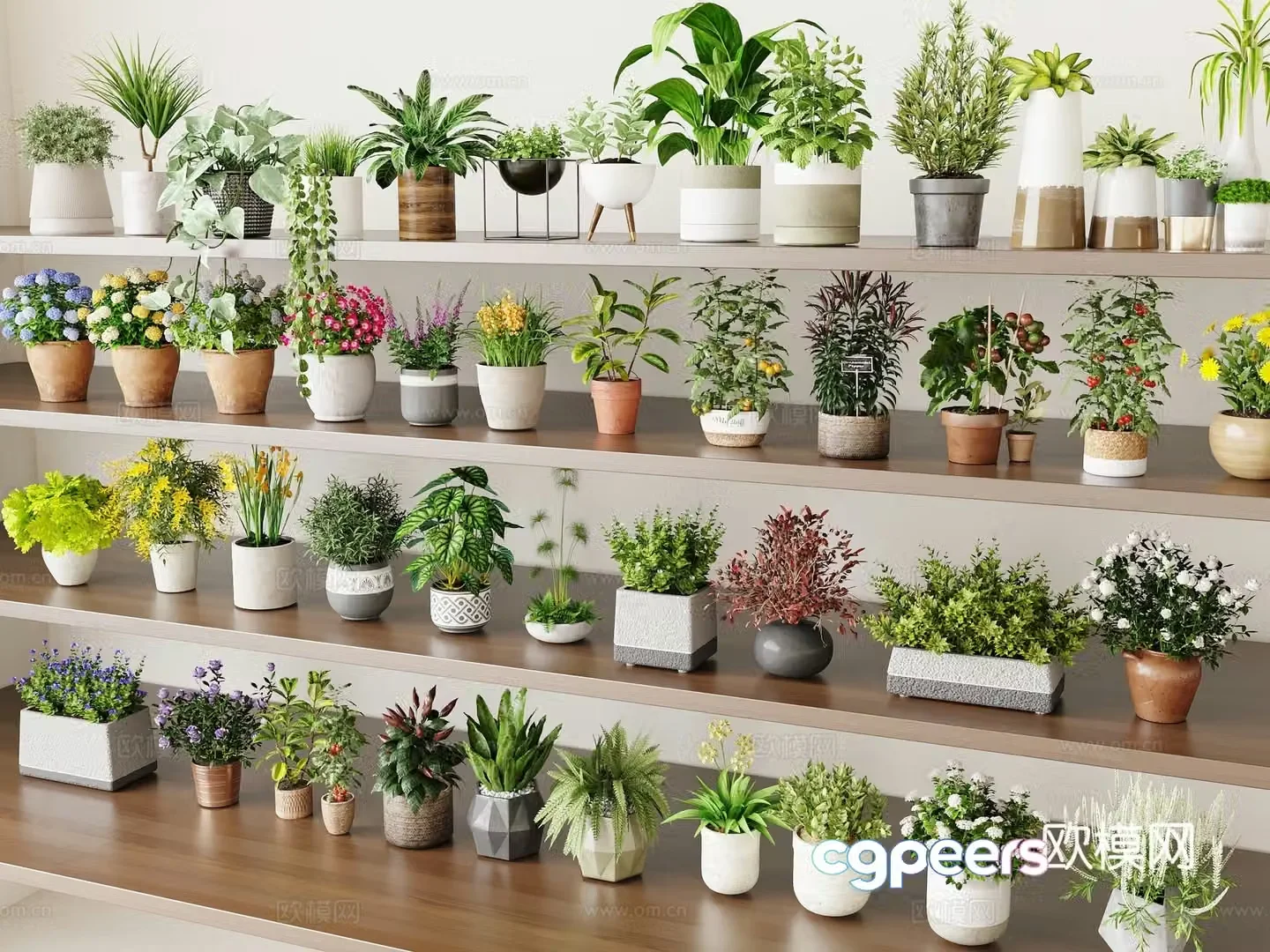 Modern plant potted plants Small potted plants 3D model