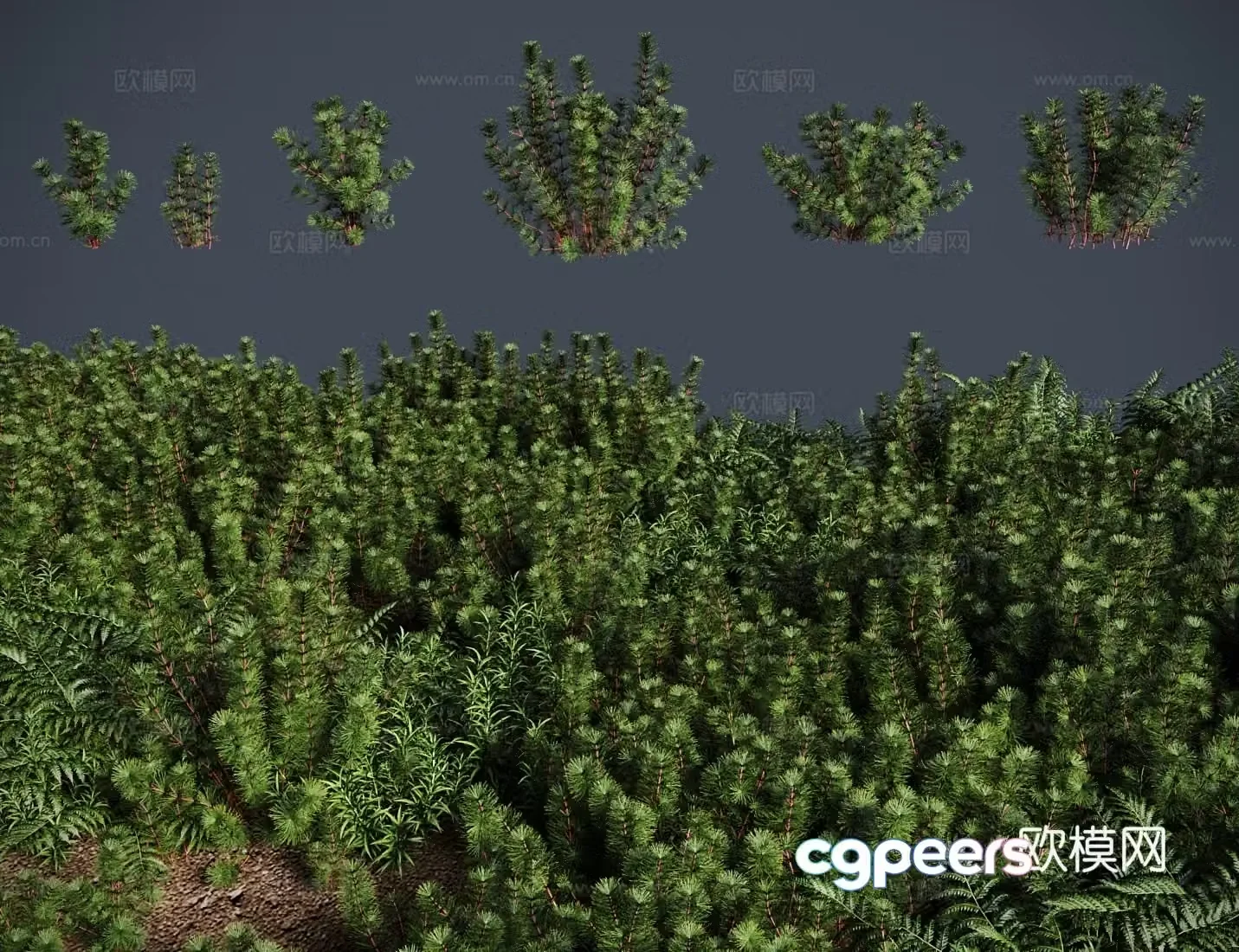 Antarctica meadow shrub 3d model
