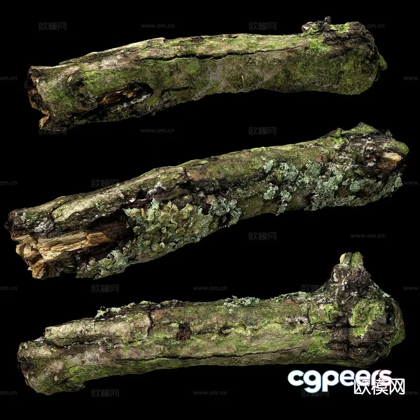 tree trunk dead wood tree trunk with moss 3d model