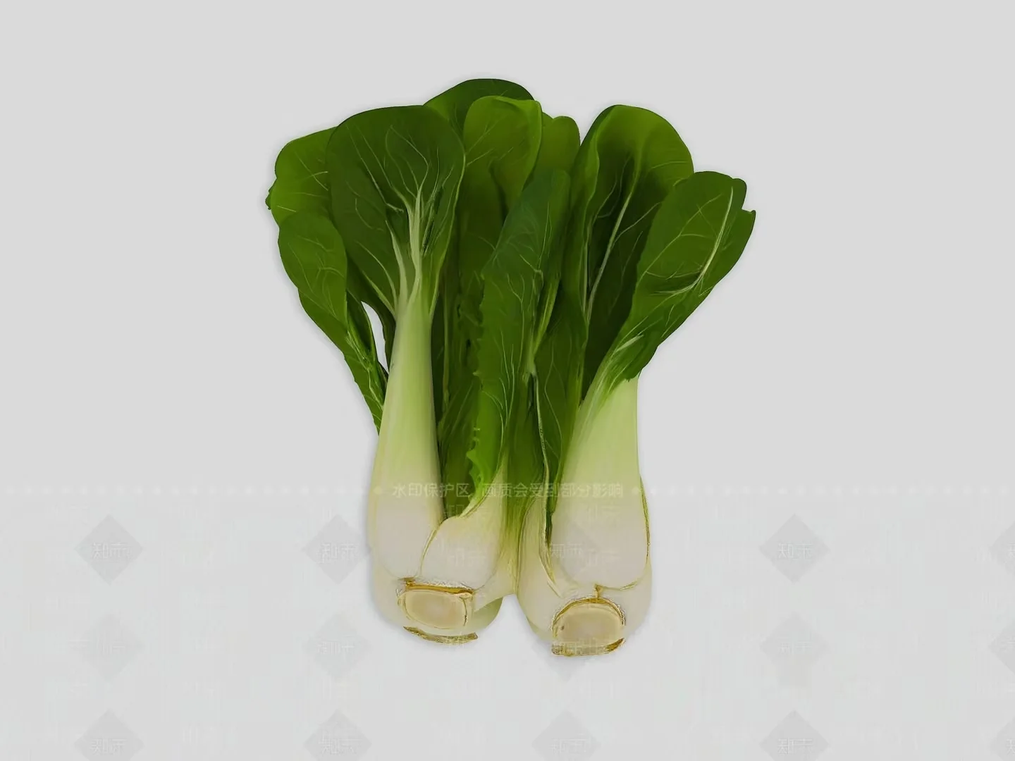 A Bunch Of Green And White Vegetables 3D Model – 16039 – VRAY Render