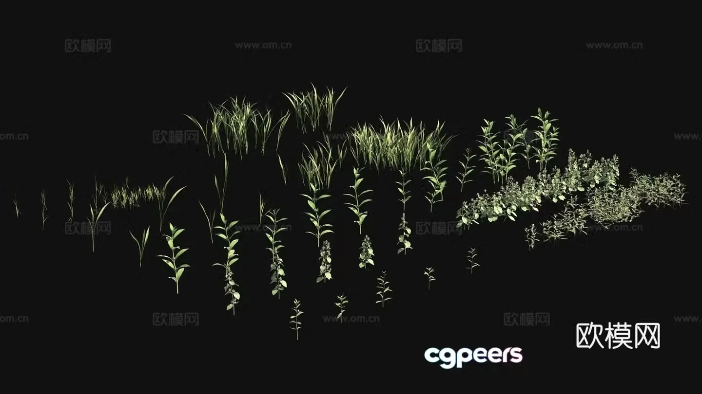 Outdoor flowers and plants plants green plants 3d model
