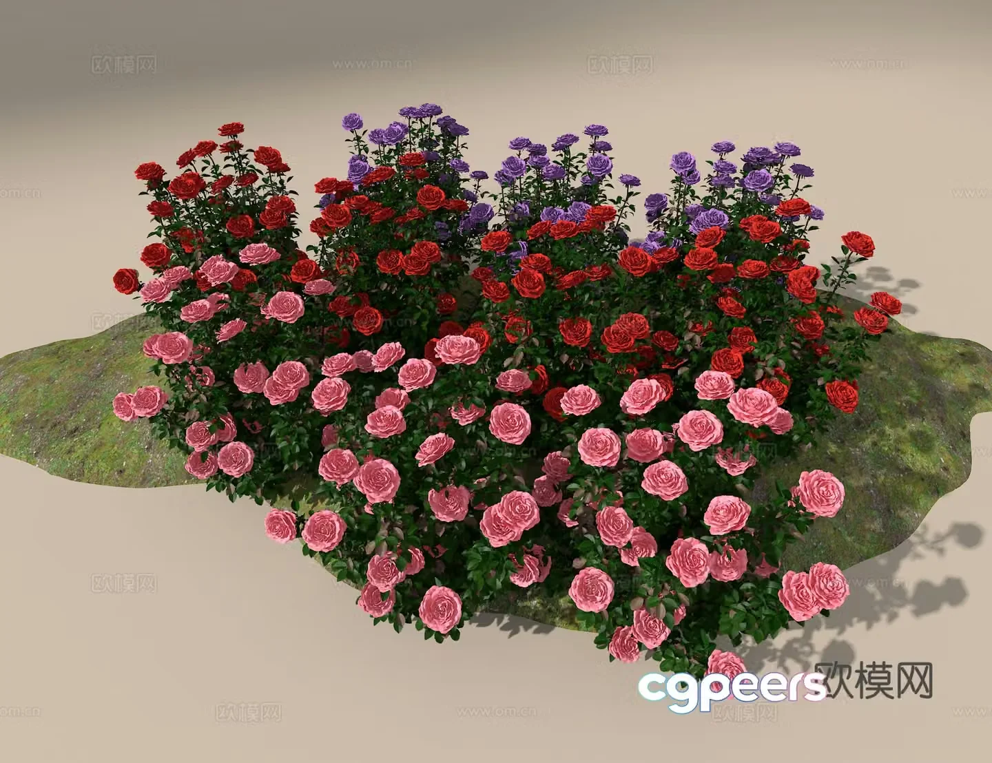 Rose 3d model