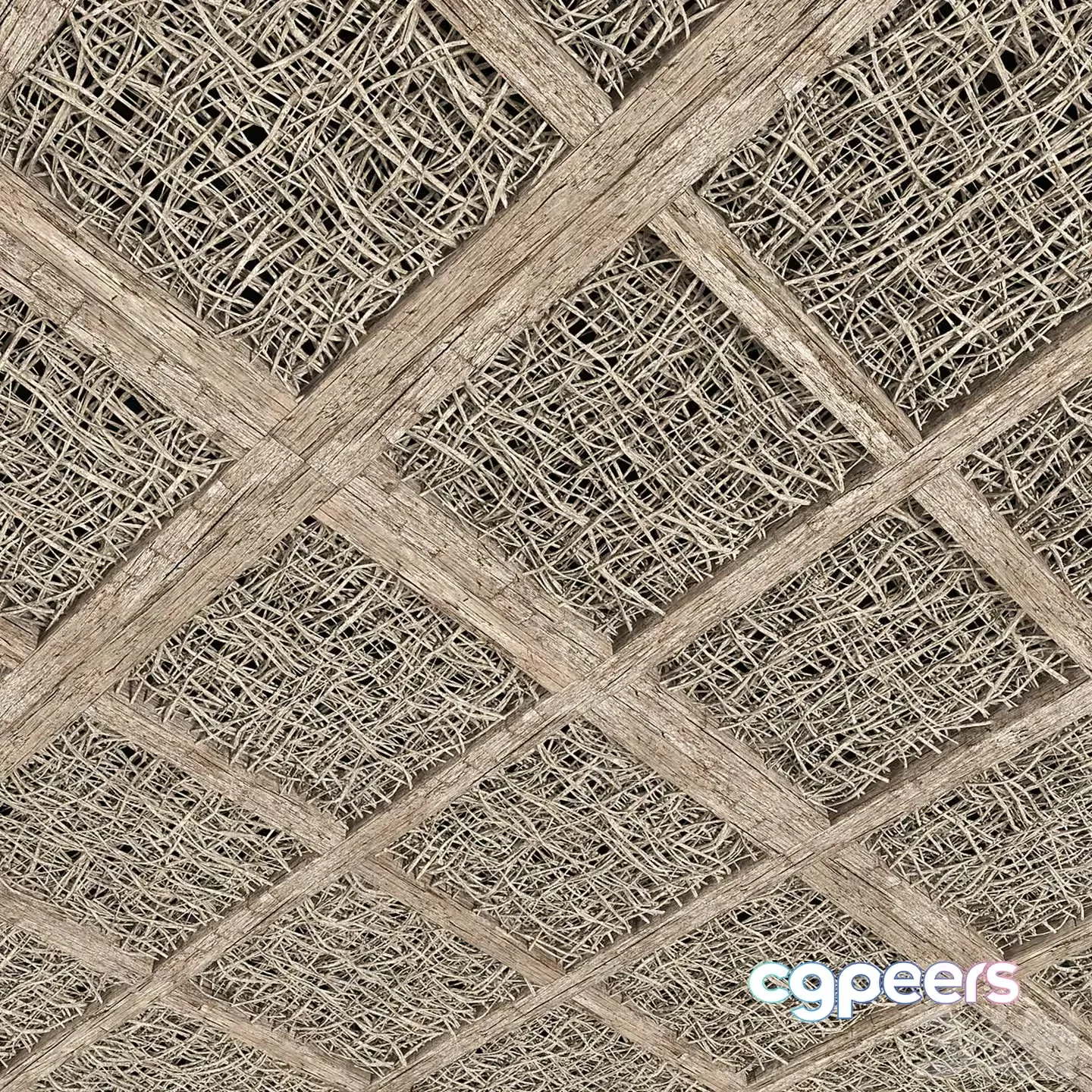 Wooden Textured Surface 3D Model – 7856 – VRAY Render