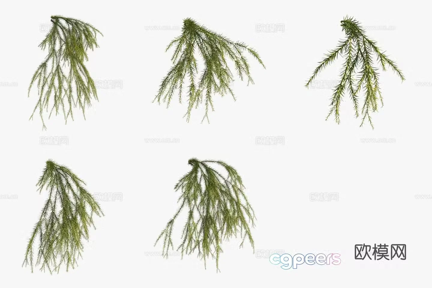 Rough stone pine flowers and plants green plants 3D model