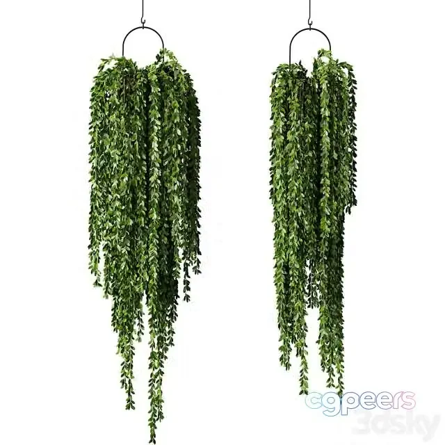 3ds Max Free – Hanging Plant Indoor Set.241
