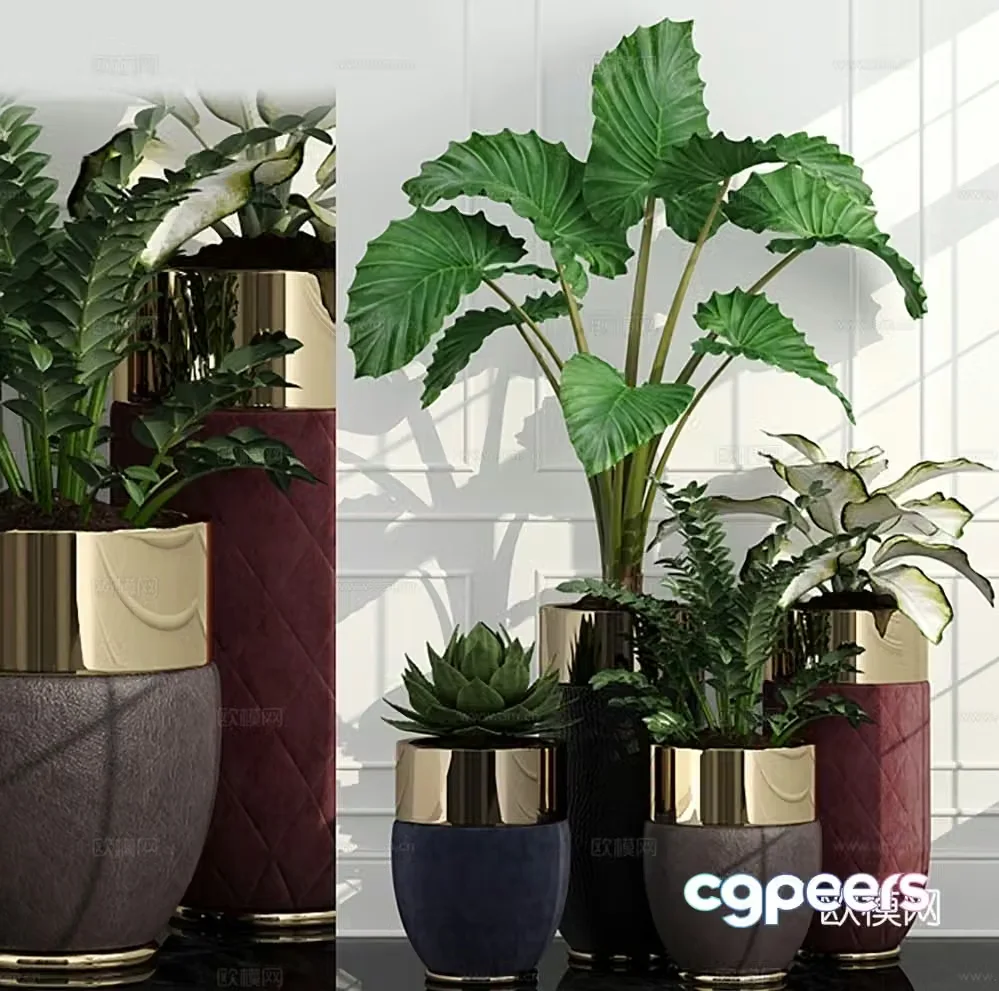 potted plant flowerpot green plant 3d model