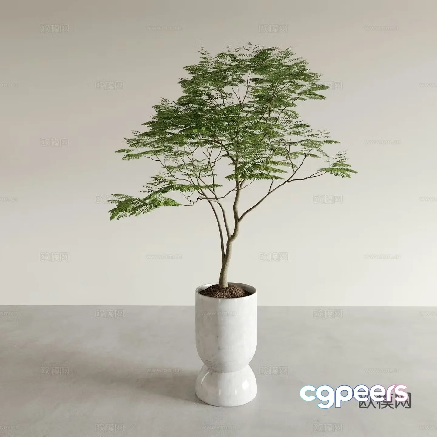 Modern green plant potted flower pot 3d model