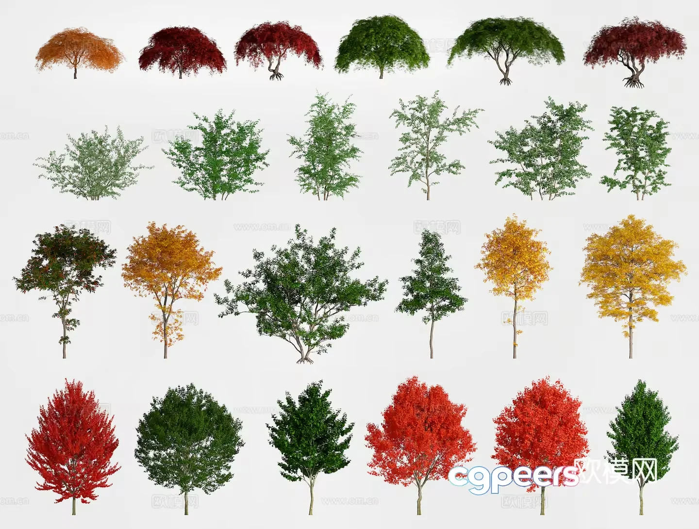 A Collection Of Trees 3D Model – 14023 – VRAY Render