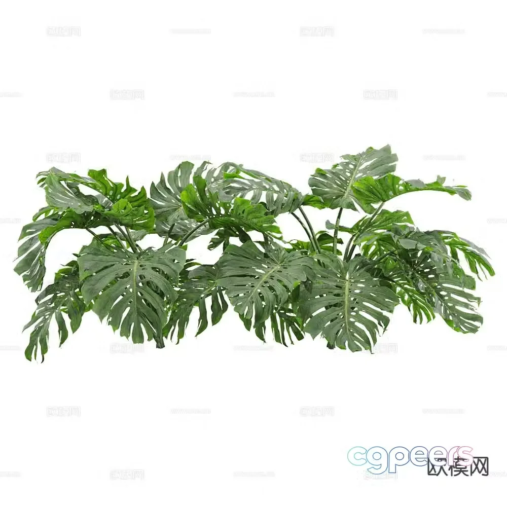 Modern monstera flowers and plants 3d model