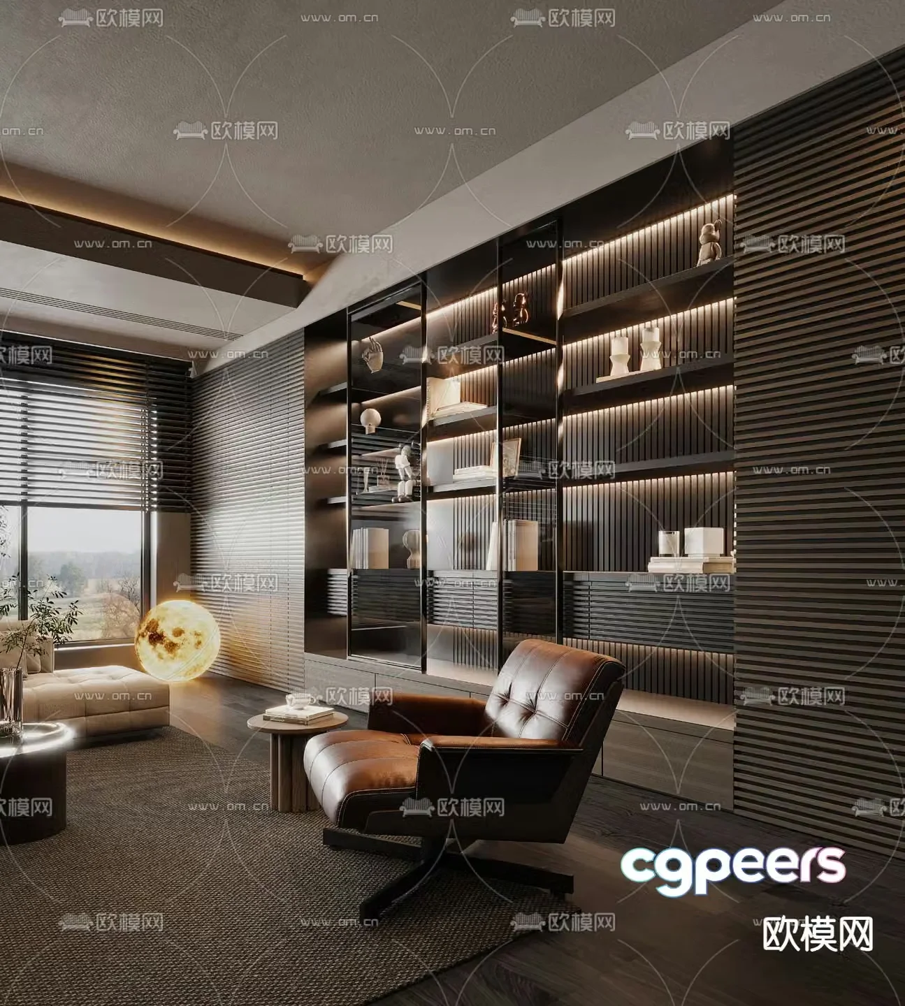 Bookcase Display Cabinet 3D Model