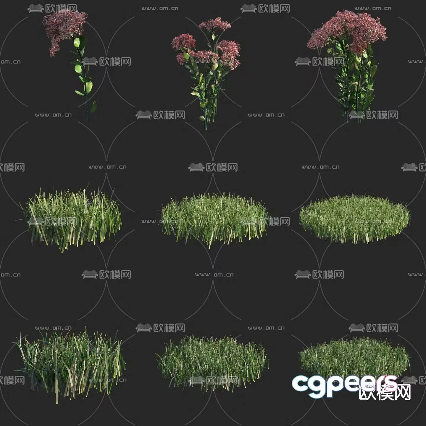 Long medicine eight treasure flowers flowers and plants wild grass 3d model
