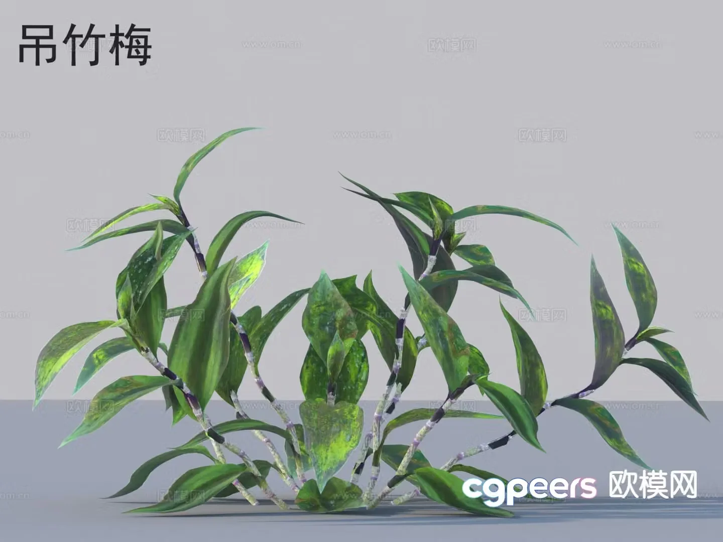 3D model of hanging bamboo and plum flowers and plants