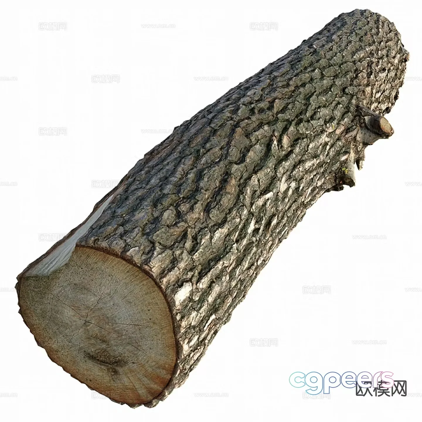 wood wood pile tree stump 3d model