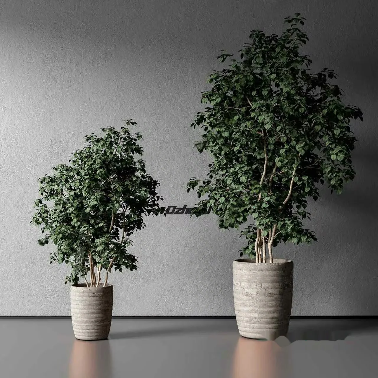 Two Plants In Pots 3D Model – 5986 – VRAY Render