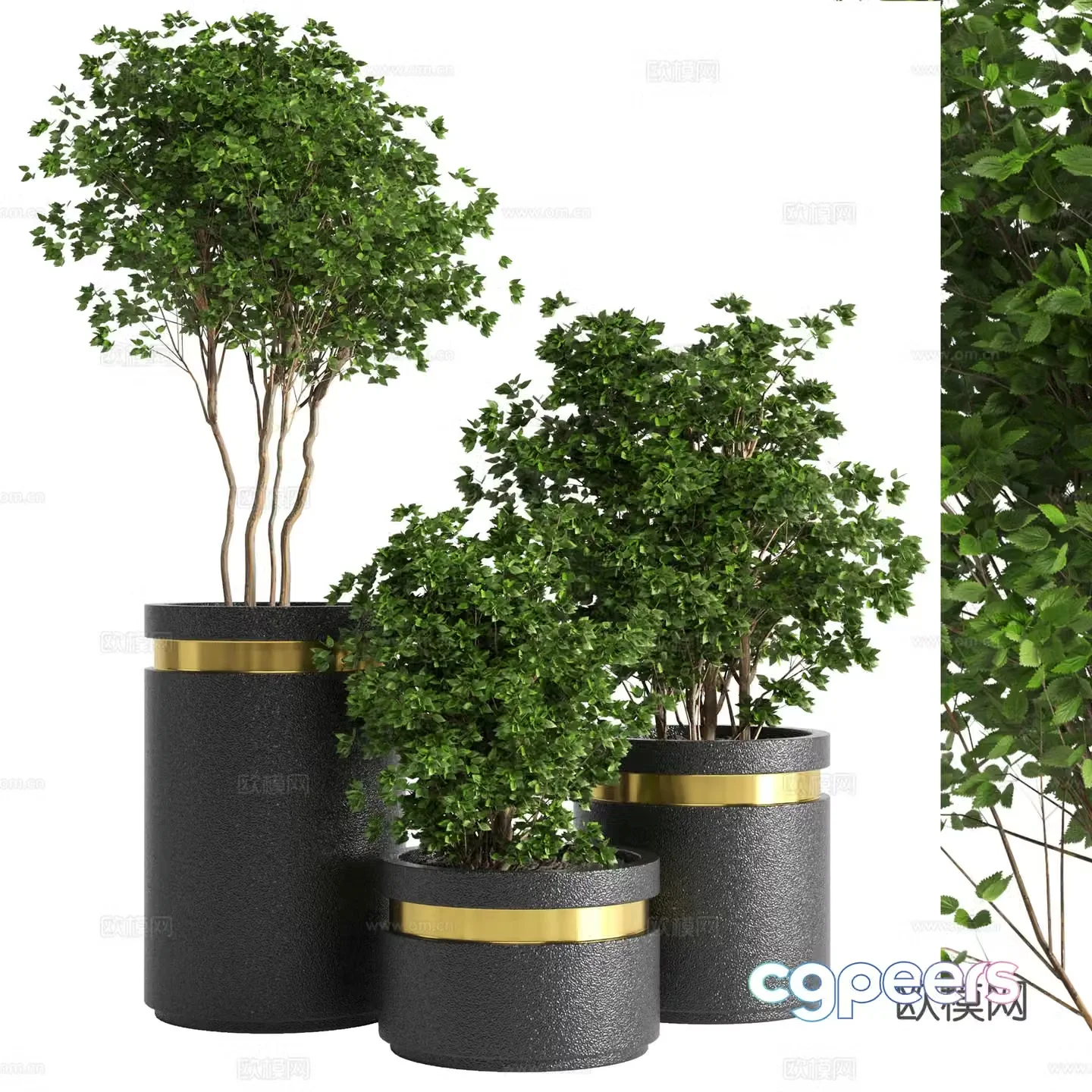 New Chinese green plant potted 3D model