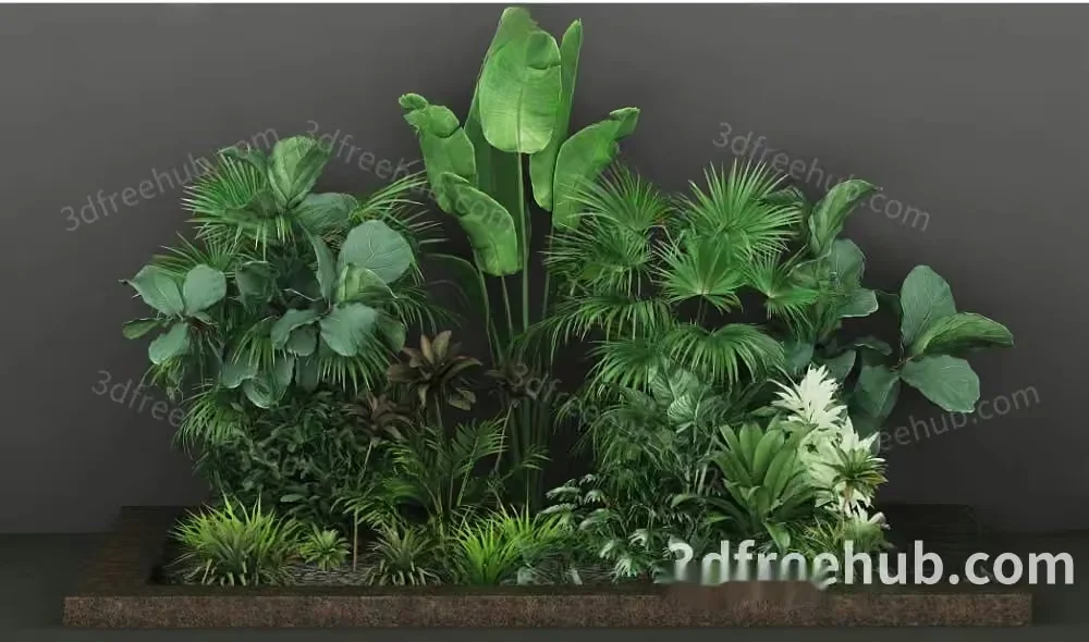 Green Plants In A Planter 3D Model – 18564 – VRAY Render