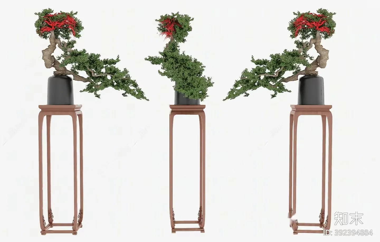 Three Small Trees In Pots 3D Model – 18803 – VRAY Render