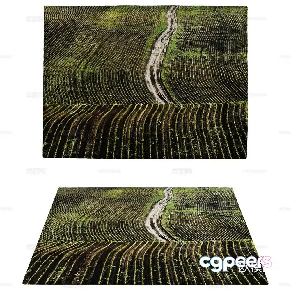 Carpet 3d model