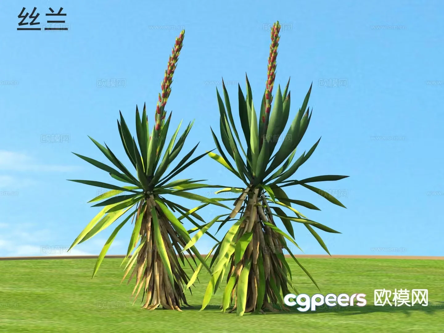 Yucca Flowers and Shrubs Tropical Shrubs 3D Model