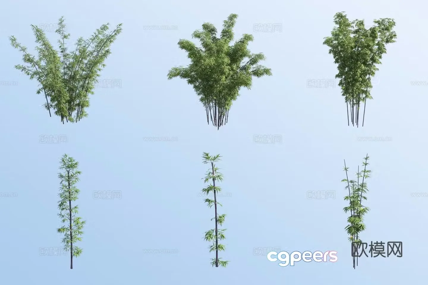 East Timor black bamboo 3d model