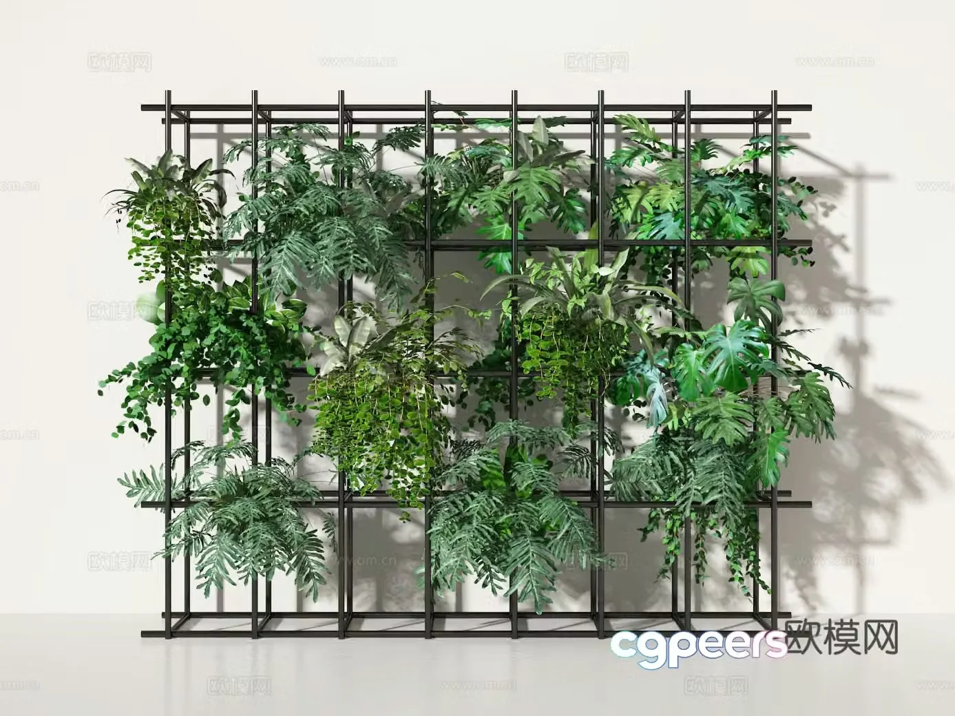 Plant wall 3d model