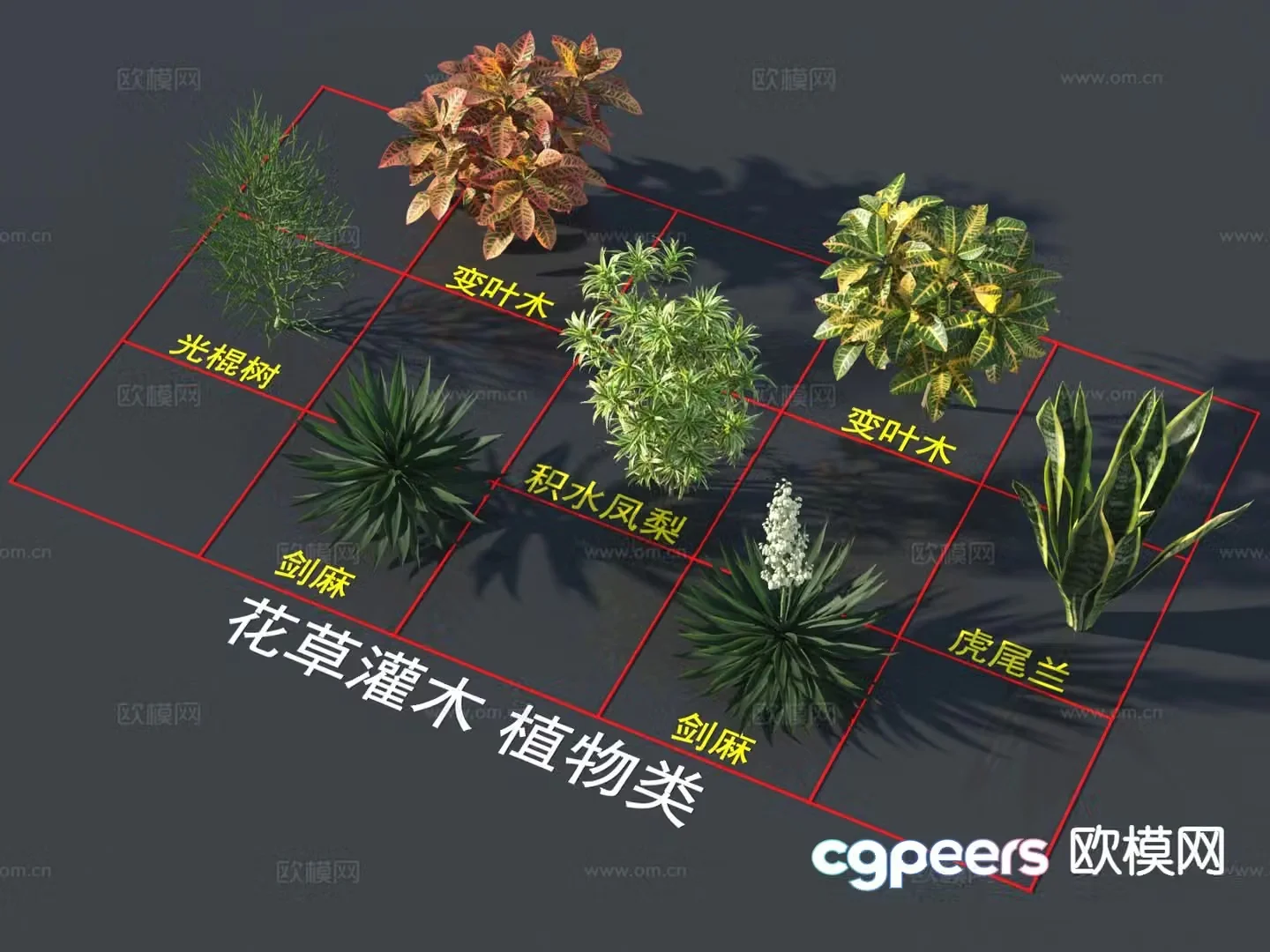 Variable leaf wood lily bamboo bachelor tree 3D model