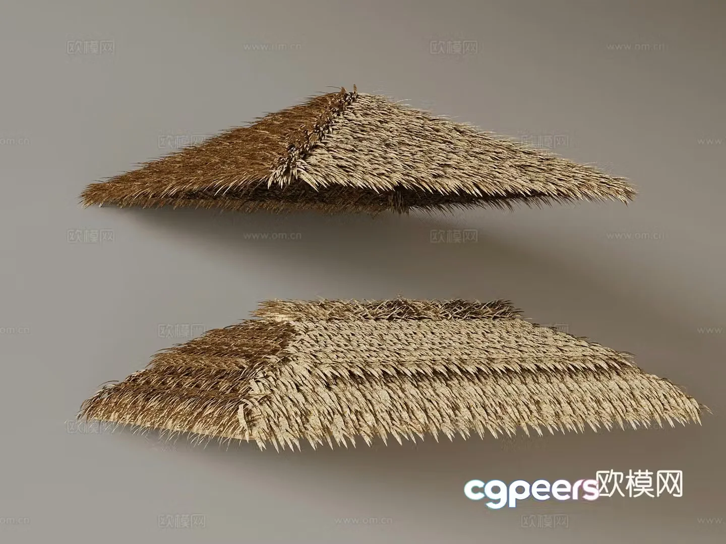 Modern thatched eaves Square eaves 3D model