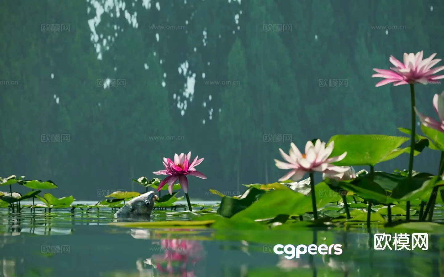 lotus pond lotus carp 3d model