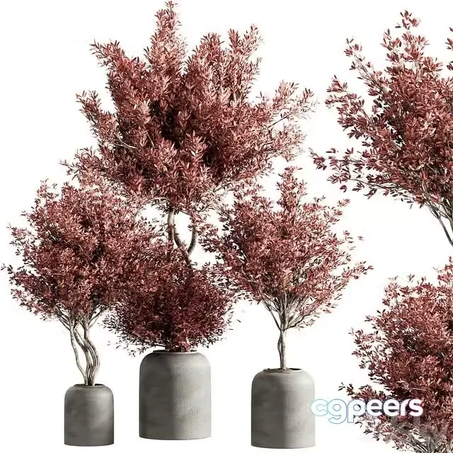 3ds Max Free – Indoor plant set 21