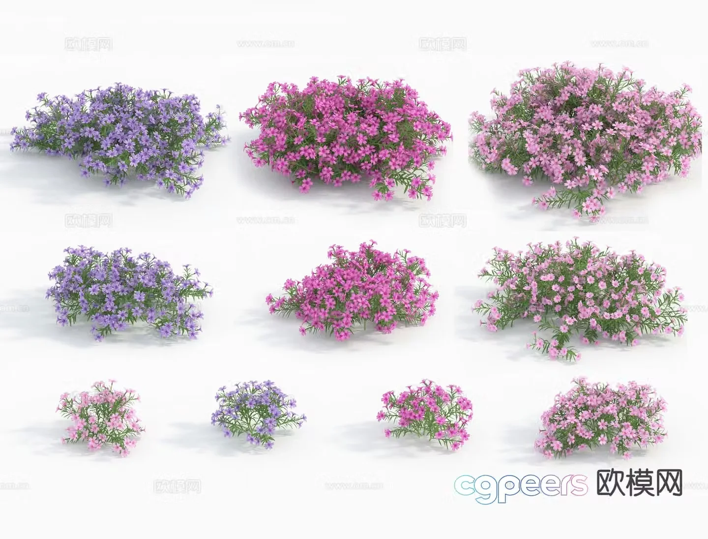 flower flowers 3d model