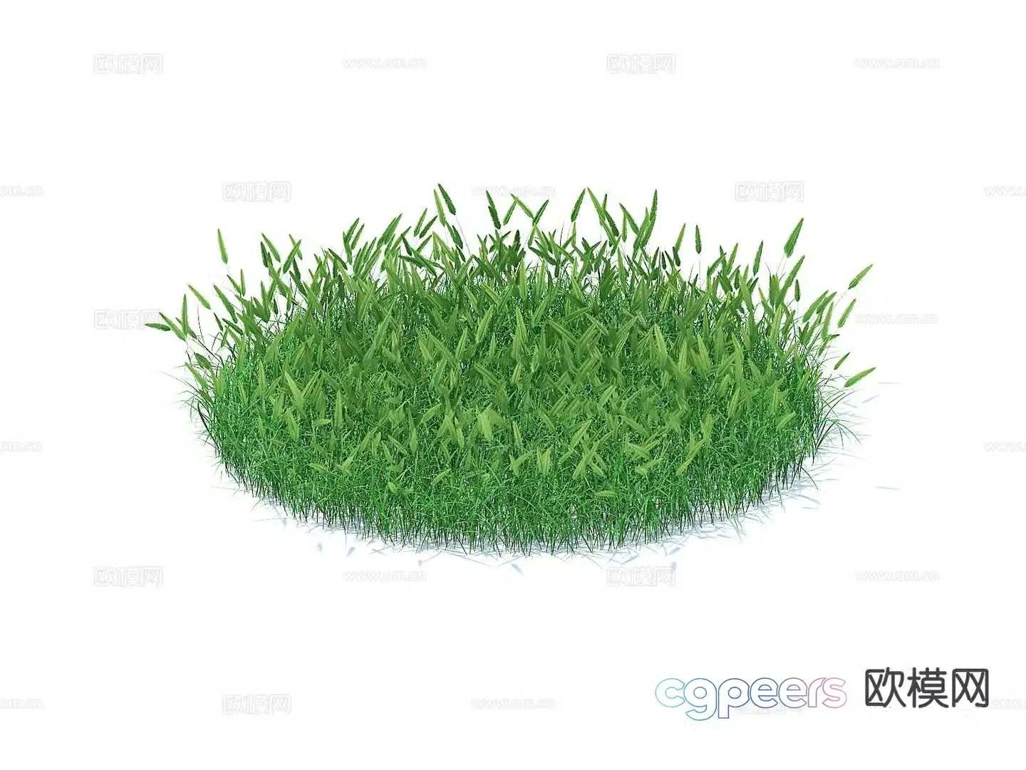 grass lawn 3d model
