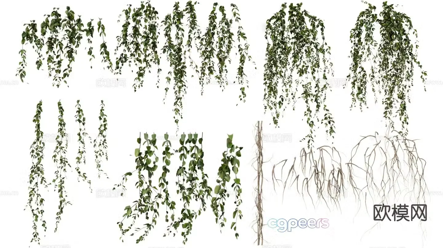 Vines climbing gardening green plants 3d model