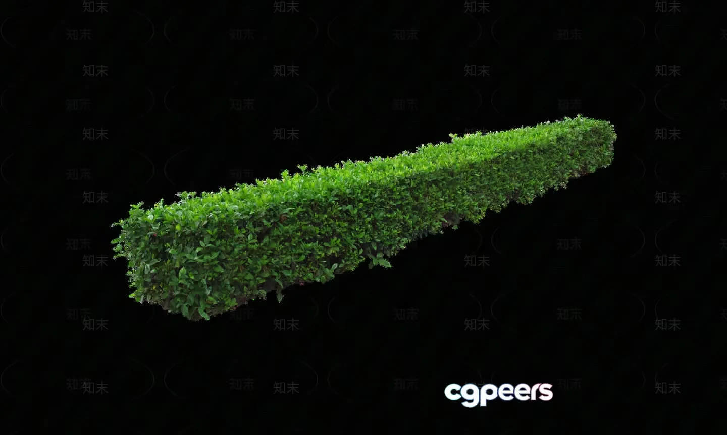 A Green Plant With A Unique Shape 3D Model – 5638 – VRAY Render