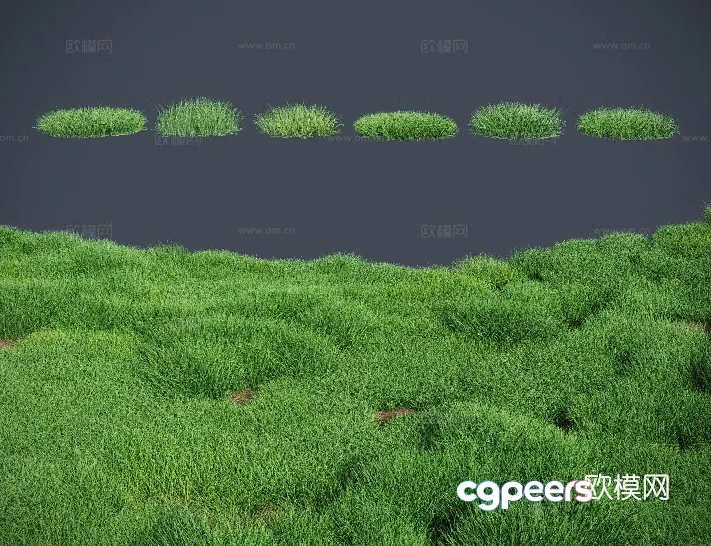 grass lawn turf 3d model
