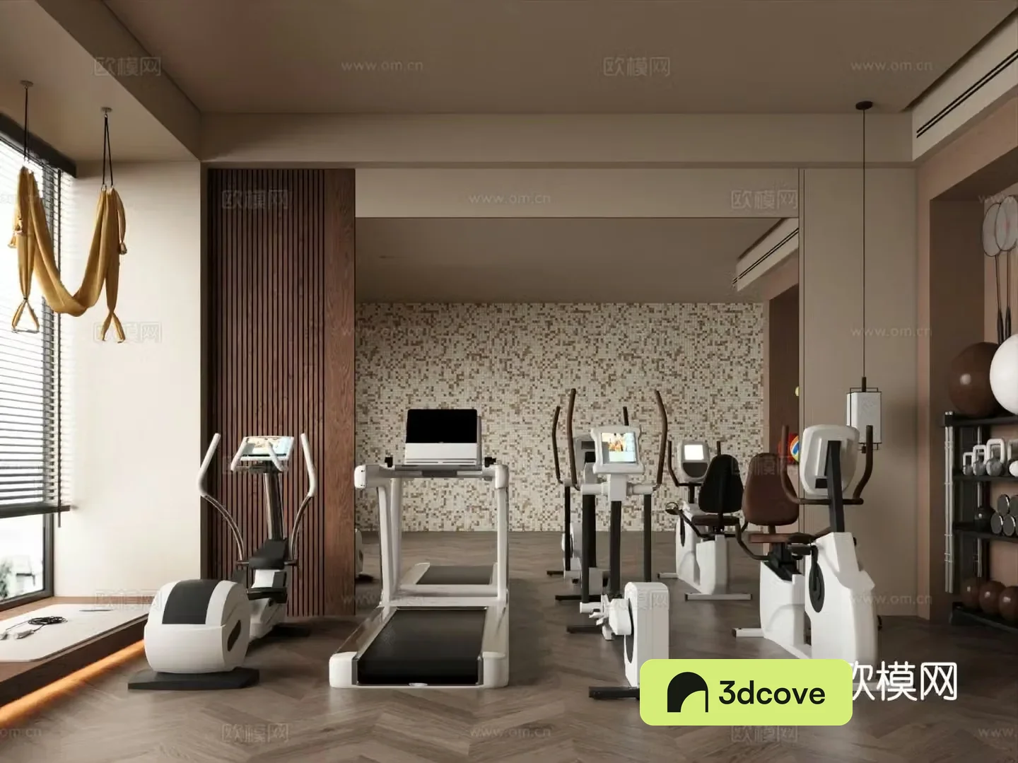 Modern home gym