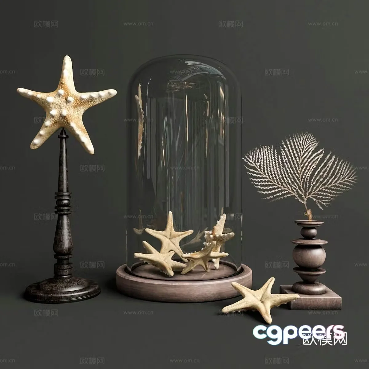 Starfish coral ornament 3d model