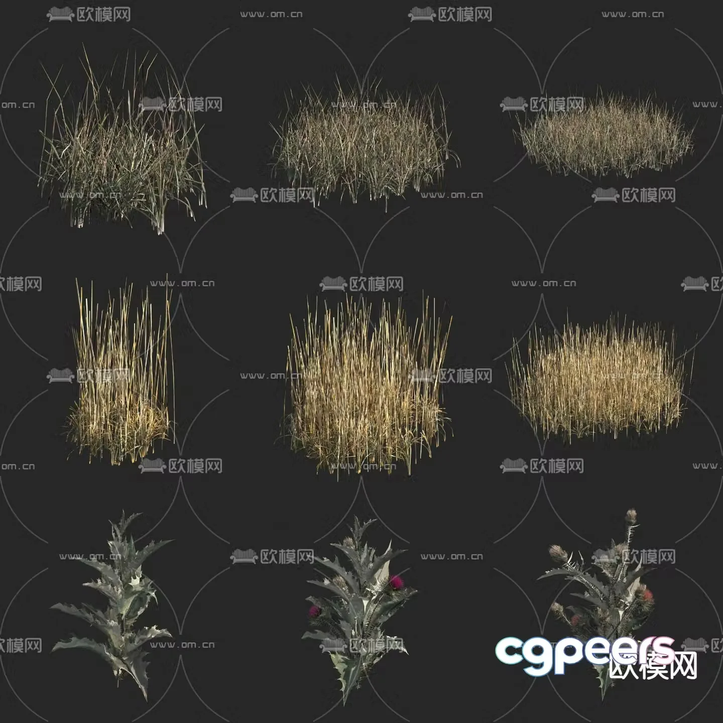 Dead grass wild grass big winged thistle flower flowers and plants 3d model