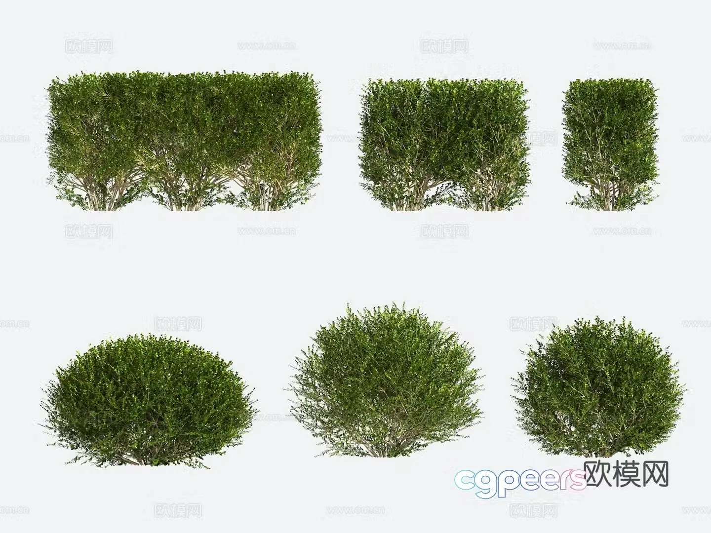 Shrub Modeling Tree Gardening 3d Model