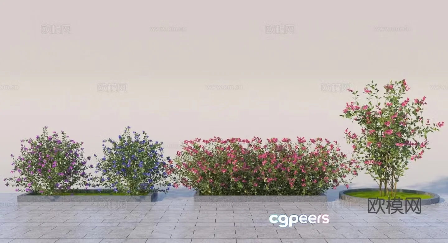 Modern bougainvillea bush 3d model