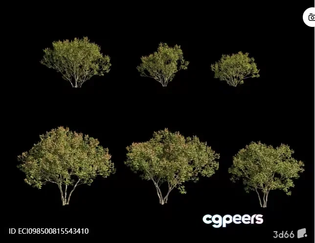 Small Green Trees 3D Model – 11674 – VRAY Render