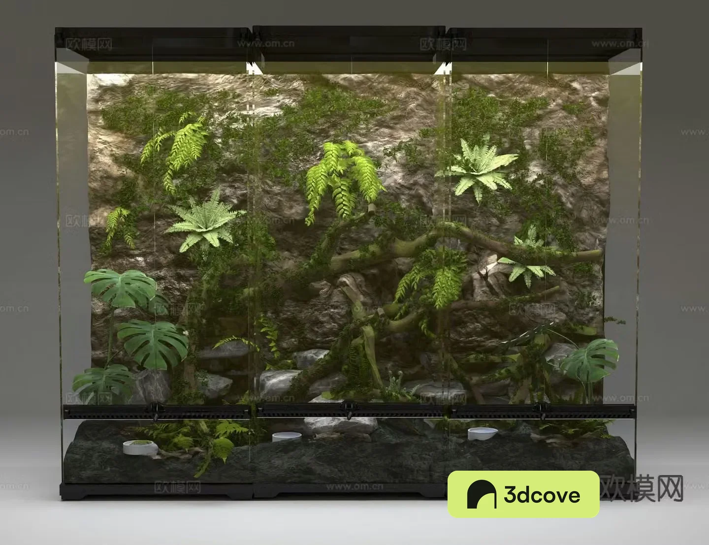 Rainforest landscape plant landscaping micro landscape