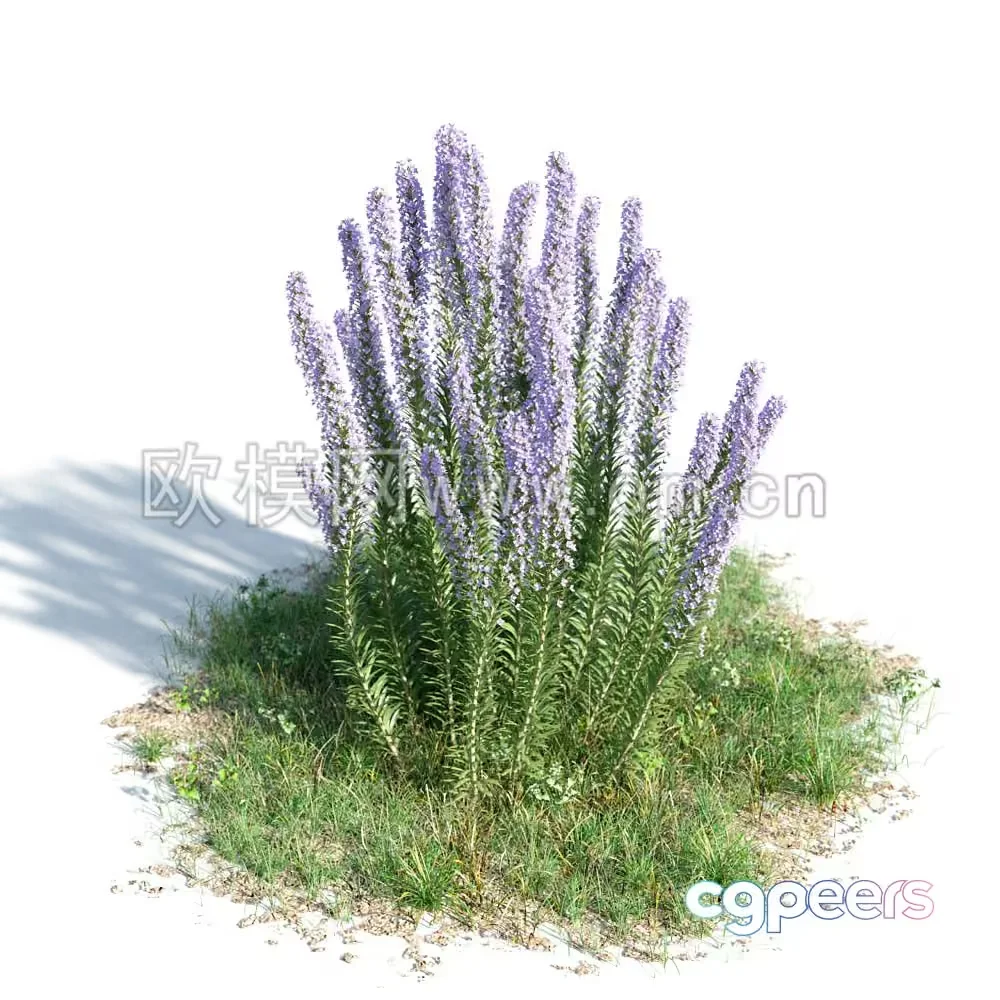 A Cluster Of Purple Flowers 3D Model – 14968 – VRAY Render