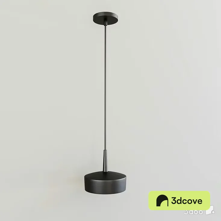 Light Fixture