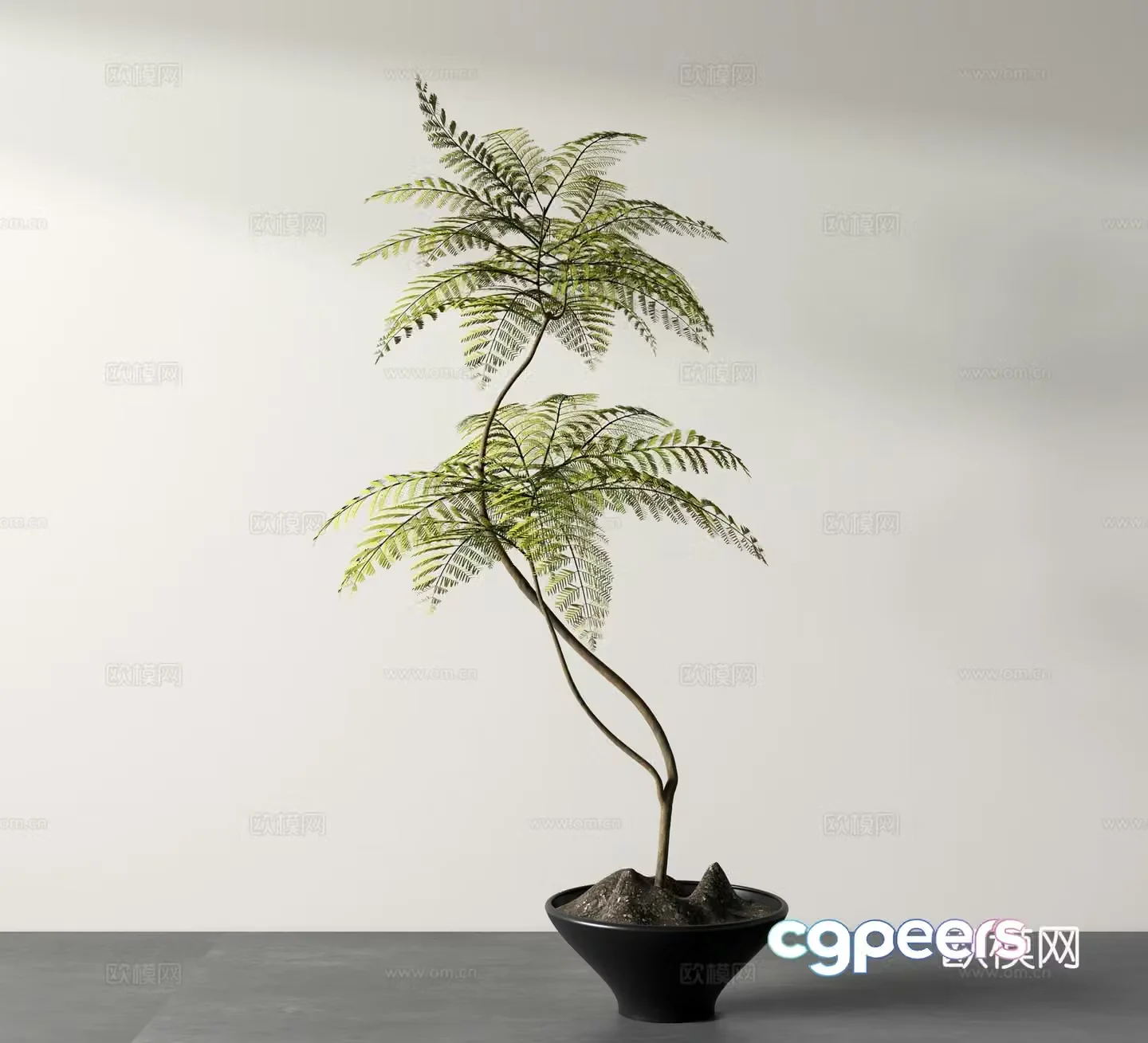 Potted plant green plant ornaments 3D model