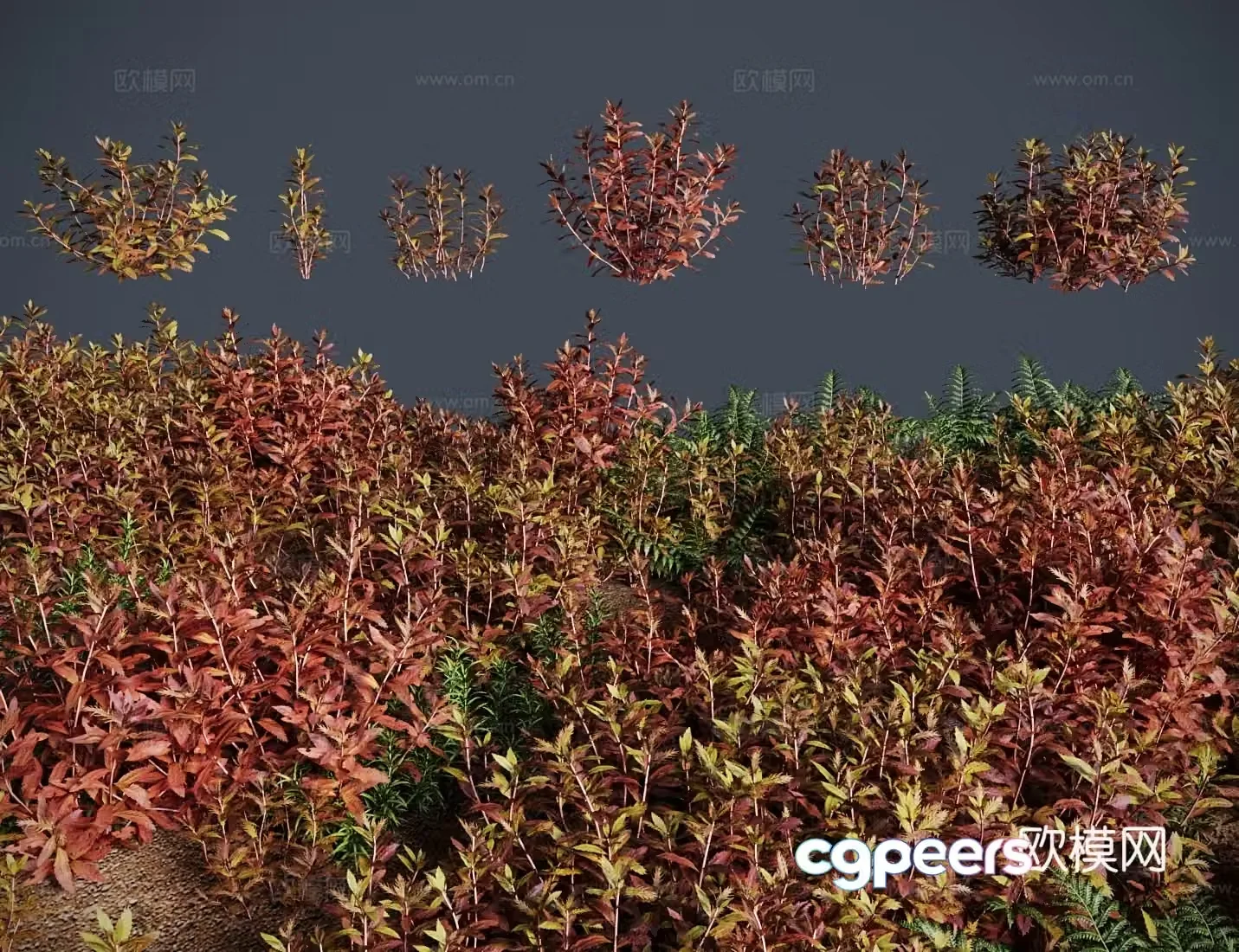 modern grass lawn red umbrella grass shrub 3d model