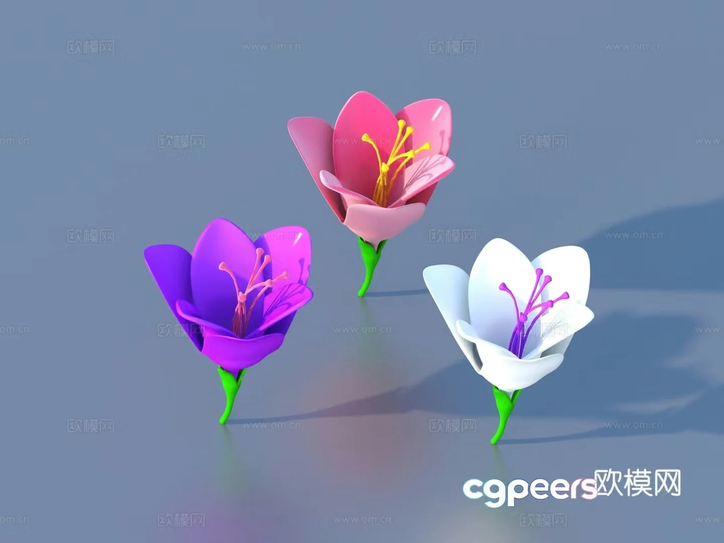Flower Cartoon Flower Wild Flower Green Plant Flower 3d Model