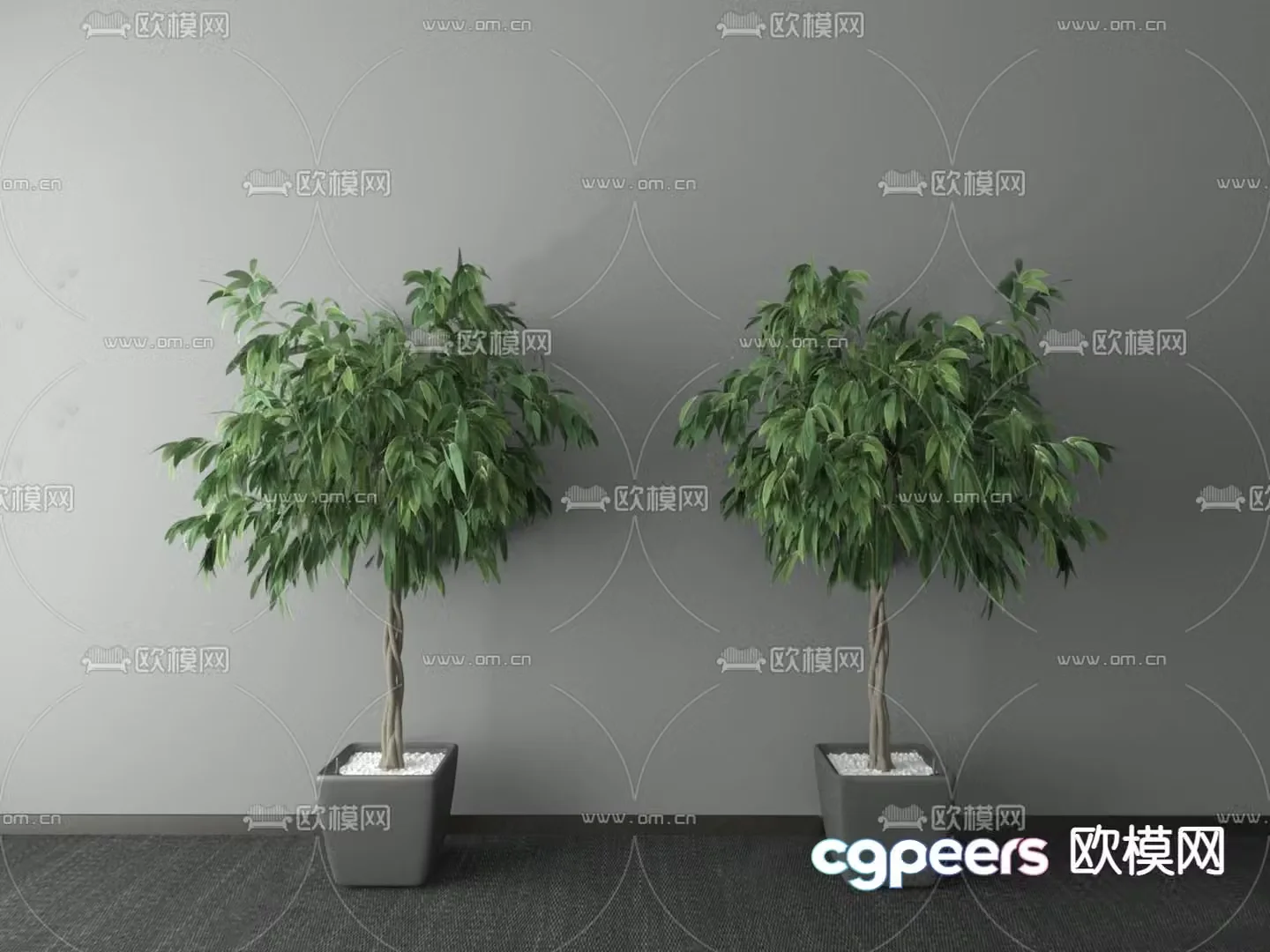Modern money tree potted 3D model