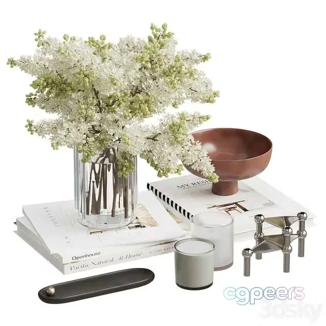 3ds Max Free – Decorative set 6 (bouquet, vases, books)