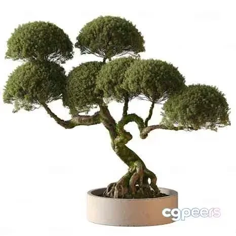 A Tree In A Pot 3D Model – 12614 – CORONA Render