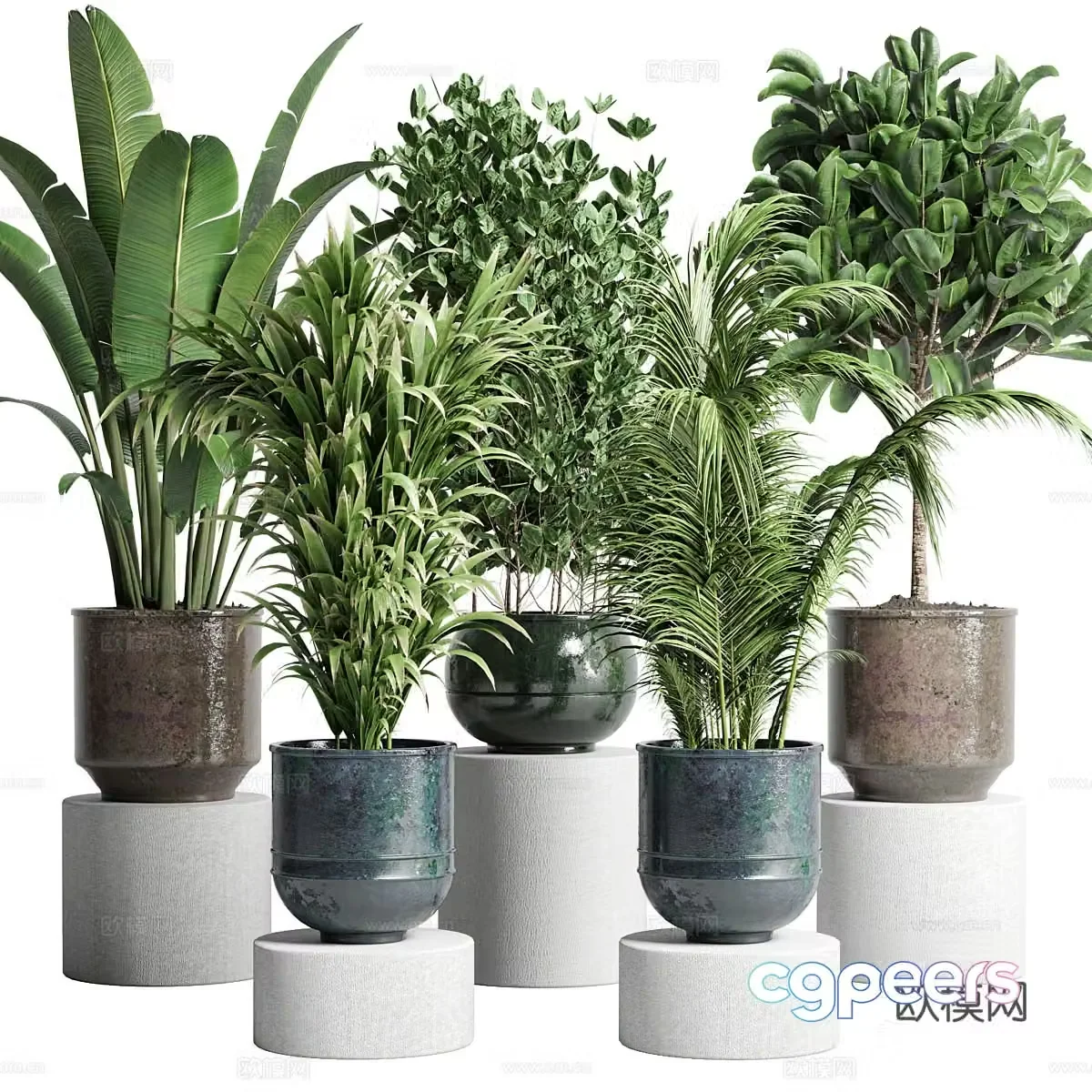Green plant potted 3D model